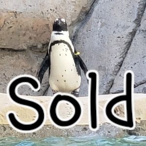 Everything beyond this point is sold